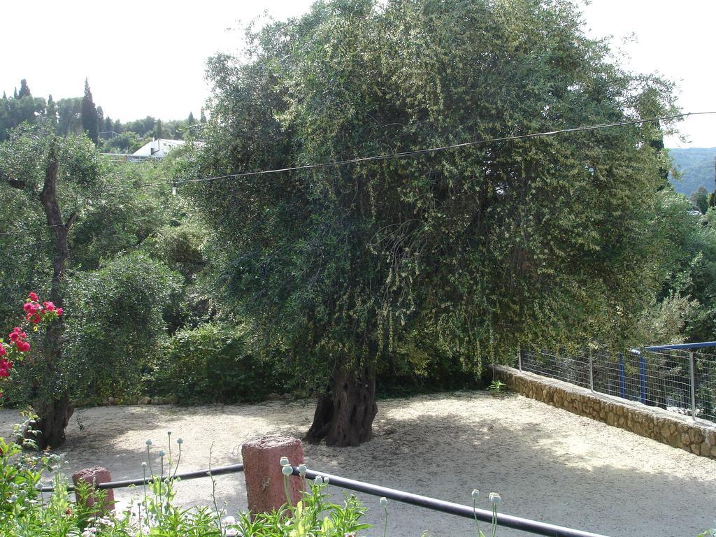 Bozikis & Appartamento