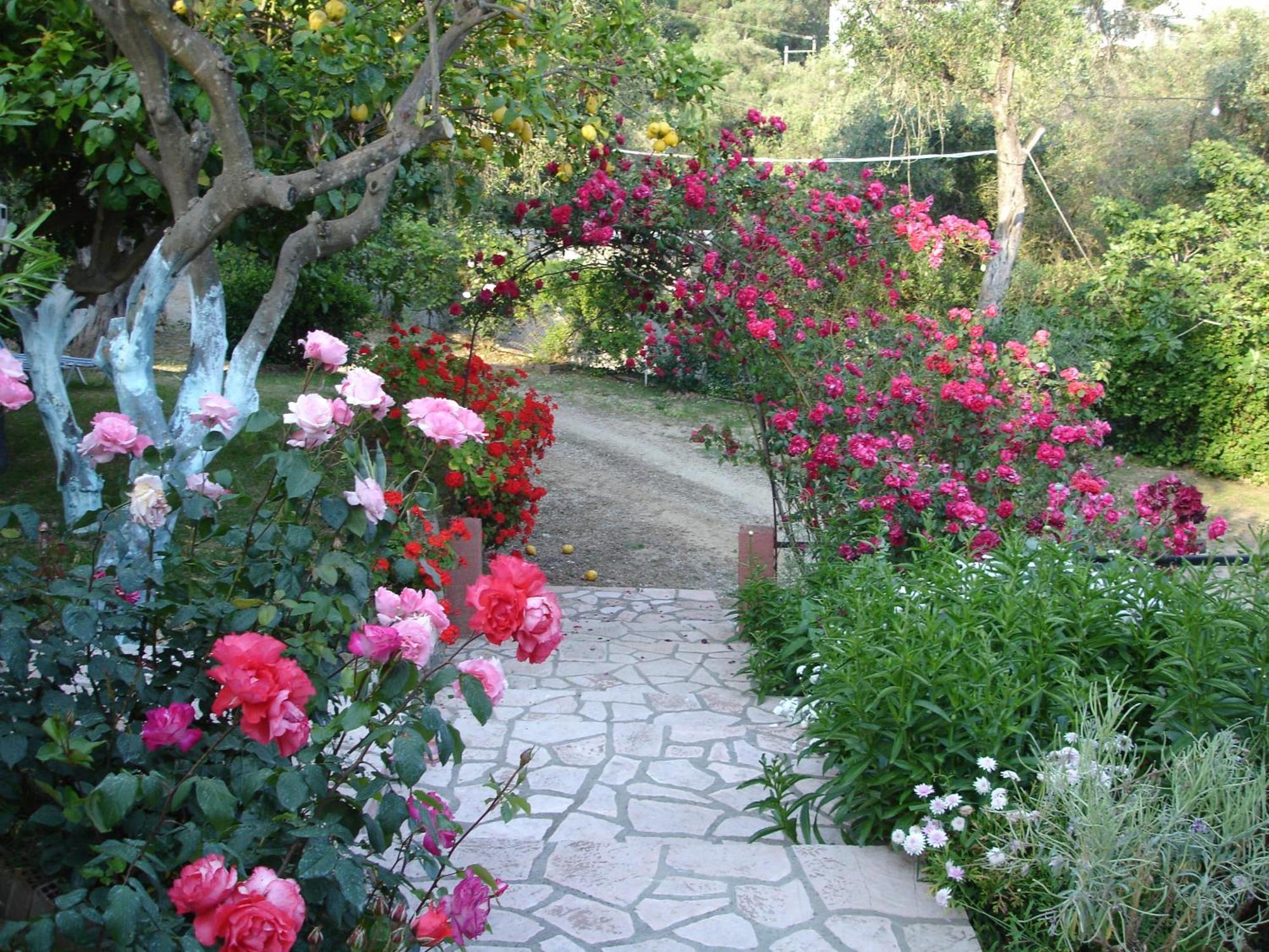 Apartament Bozikis &